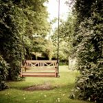 Garden Image with bench